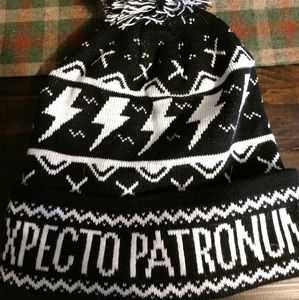 Exclusive Owlcrate Harry Potter Beanie